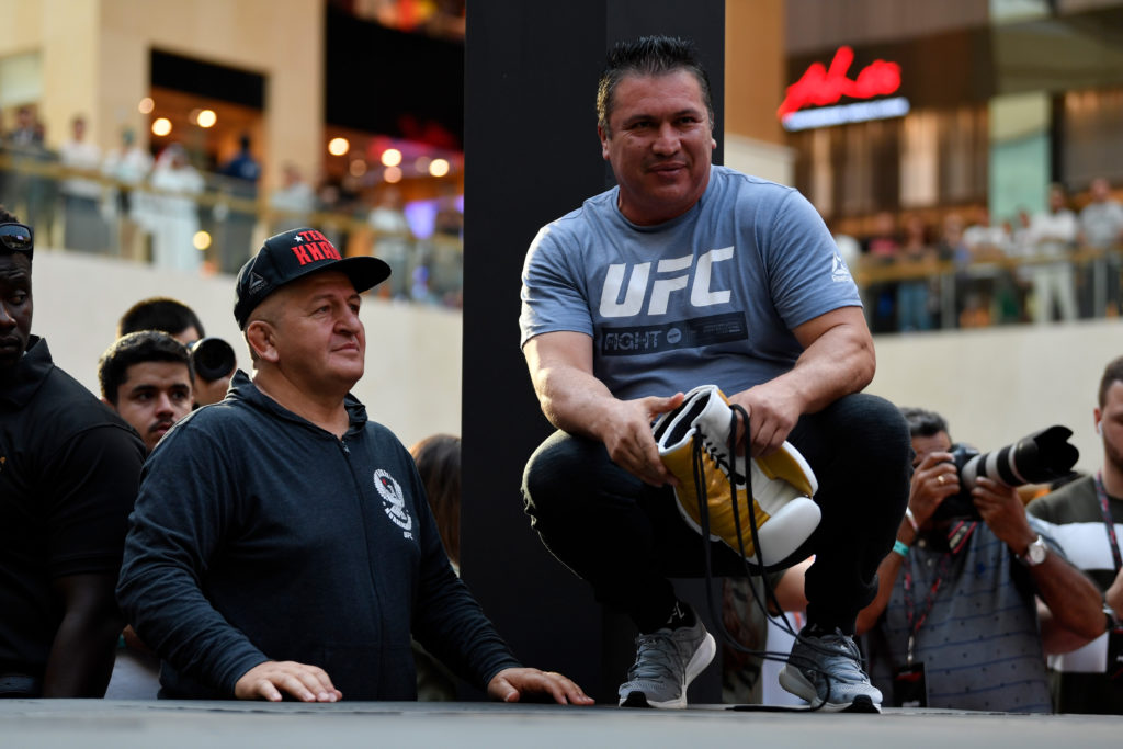 UFC Fighter Portraits