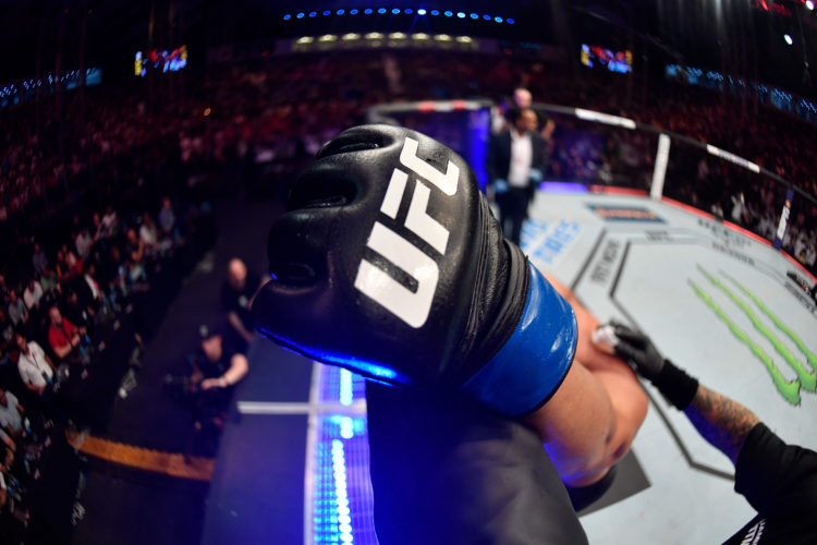 Photo by Jeff Bottari/Zuffa LLC/Zuffa LLC via Getty Images