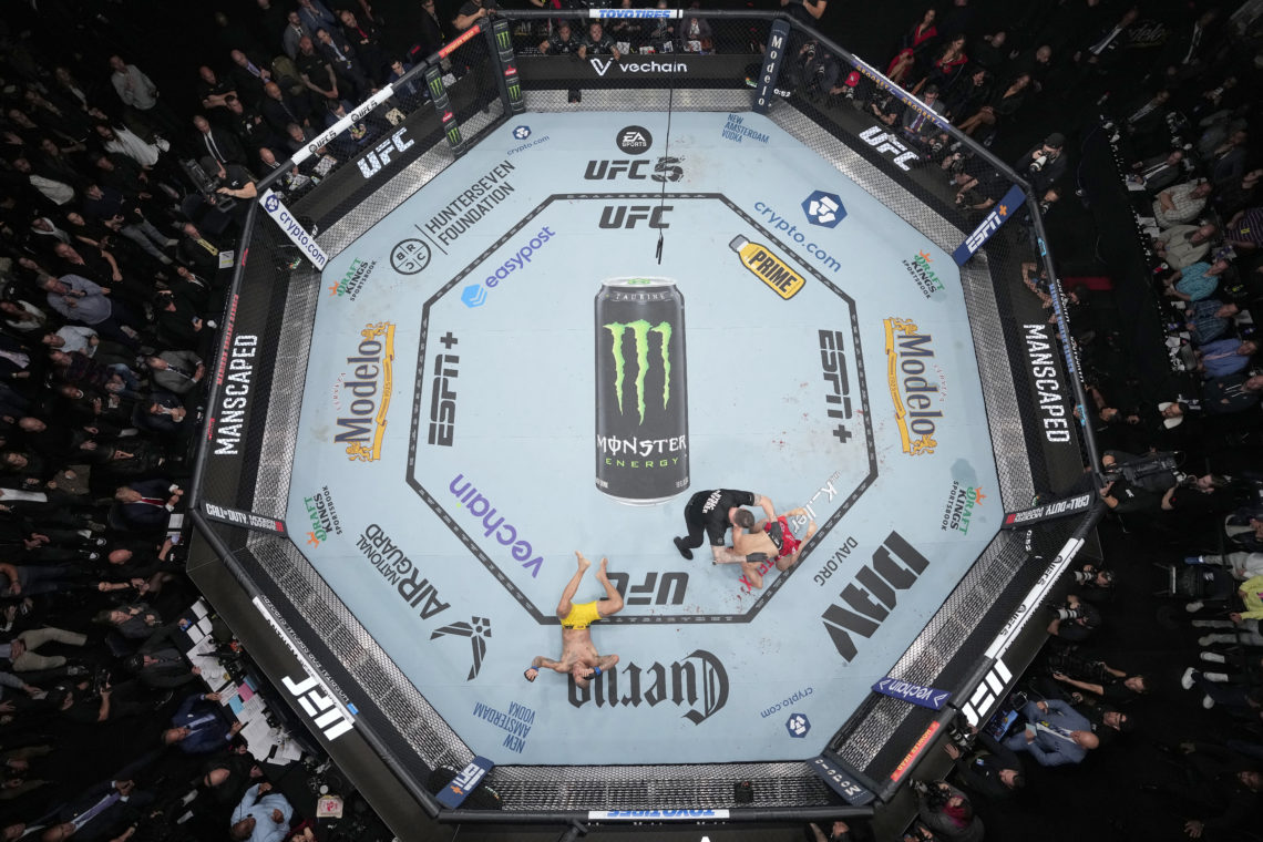 Photo by Josh Hedges/Zuffa LLC via Getty Images